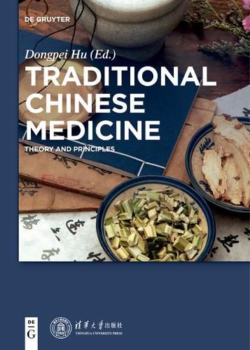 Cover image for Traditional Chinese Medicine: Theory and Principles