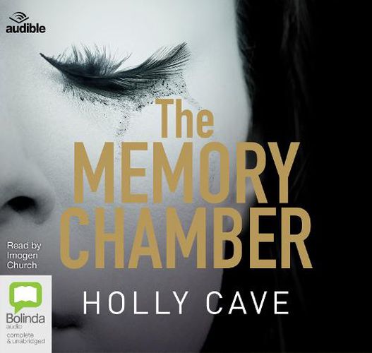 Cover image for The Memory Chamber