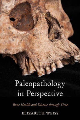 Cover image for Paleopathology in Perspective: Bone Health and Disease through Time