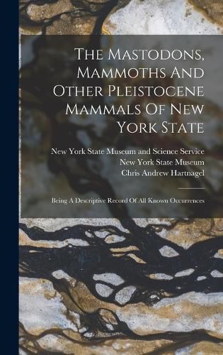 Cover image for The Mastodons, Mammoths And Other Pleistocene Mammals Of New York State