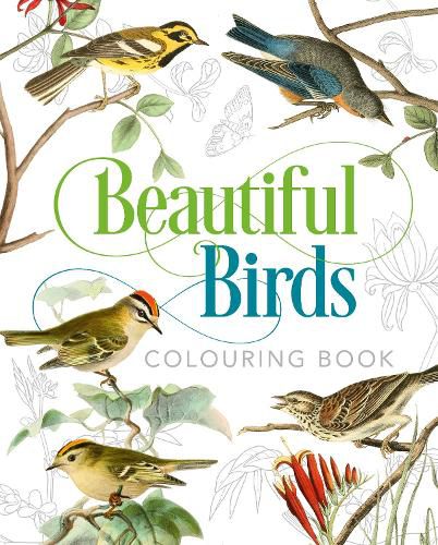 Cover image for Beautiful Birds Colouring Book