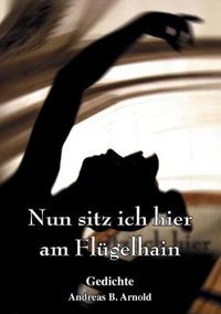 Cover image for Nun sitz ich hier am Flugelhain: Gedichte