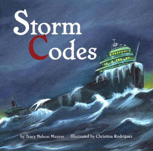 Cover image for Storm Codes