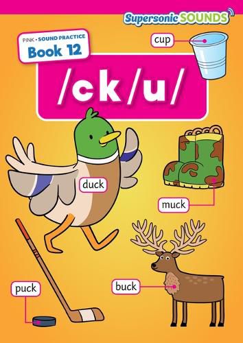 Cover image for Pink Sound Practice Book 12 /Ck/U