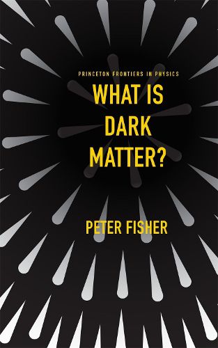 Cover image for What Is Dark Matter?