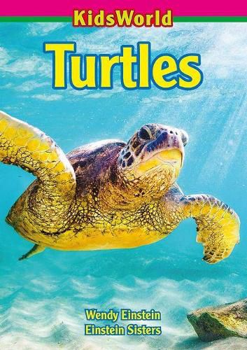 Cover image for Turtles