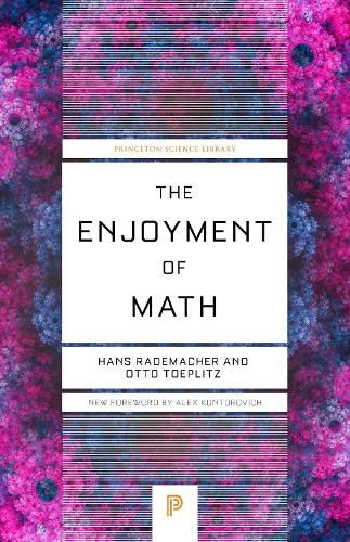 The Enjoyment of Math