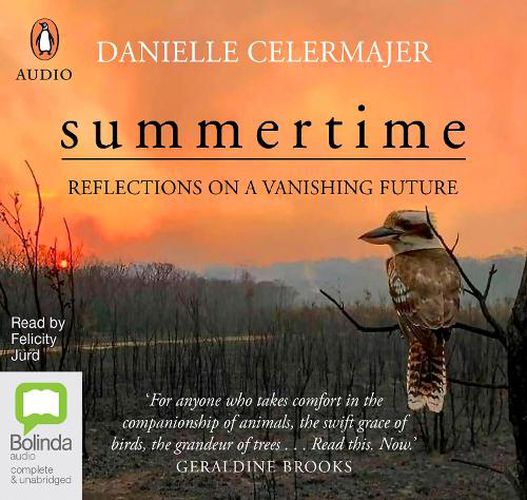 Summertime: Reflections On a Vanishing Future