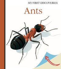 Cover image for Ants