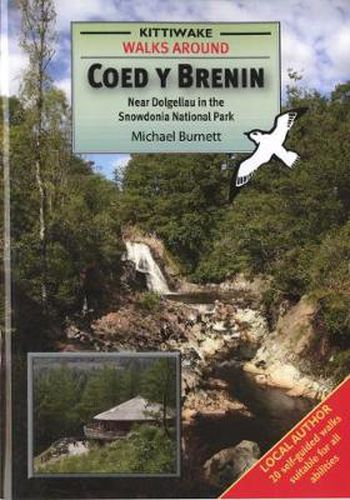 Cover image for Walks Around Coed y Brenin