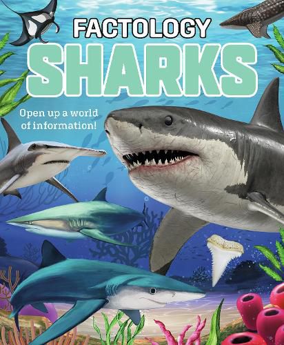 Cover image for Factology: Sharks