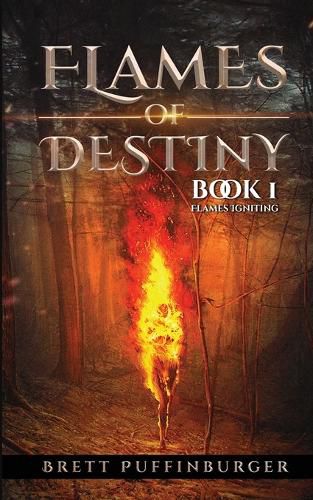 Cover image for Flames of Destiny Book 1