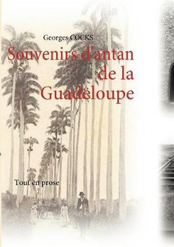 Cover image for Souvenirs d'antan: Tout en prose