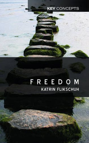 Cover image for Freedom: Contemporary Liberal Perspectives