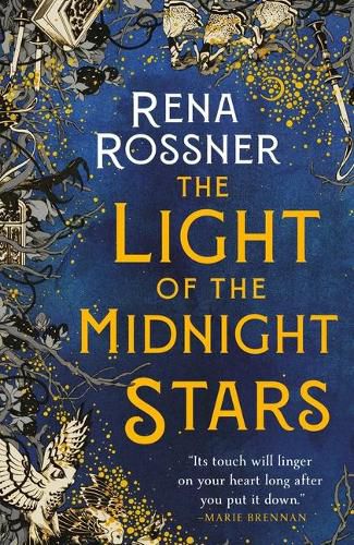 Cover image for The Light of the Midnight Stars