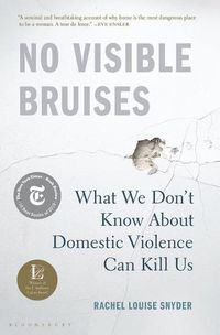 Cover image for No Visible Bruises