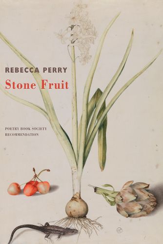 Cover image for Stone Fruit