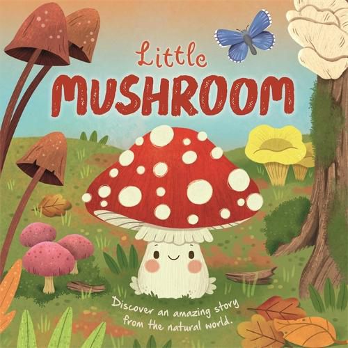 Cover image for Little Mushroom