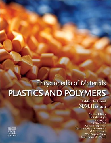 Cover image for Encyclopedia of Materials: Plastics and Polymers