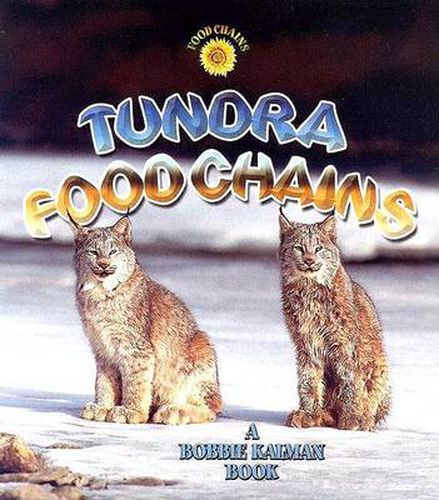 Cover image for Tundra Food Chains