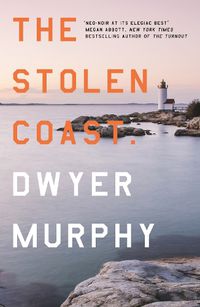 Cover image for The Stolen Coast