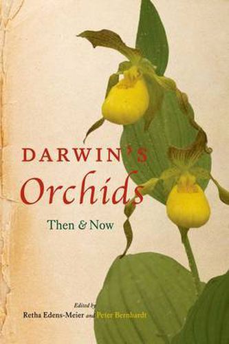 Cover image for Darwin's Orchids: Then and Now