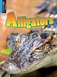 Cover image for Alligators