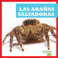 Cover image for Las Aranas Saltadoras (Jumping Spiders)