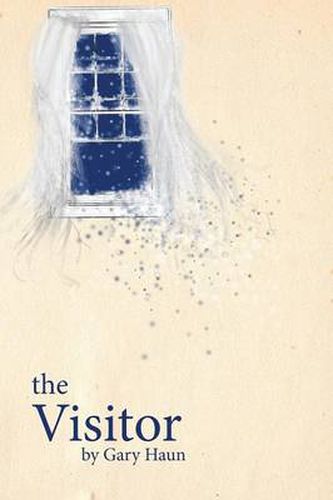 Cover image for The Visitor