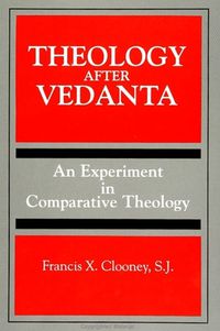 Cover image for Theology After Vedanta: An Experiment in Comparative Theology