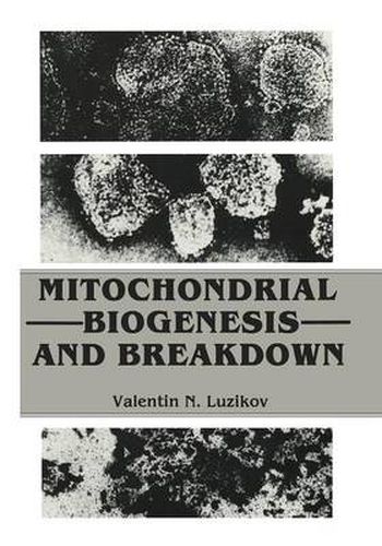 Cover image for Mitochondrial Biogenesis and Breakdown