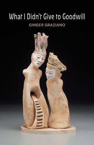 Cover image for What I Didn't Give to Goodwill