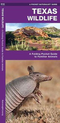 Cover image for Texas Wildlife: A Folding Pocket Guide to Familiar Species