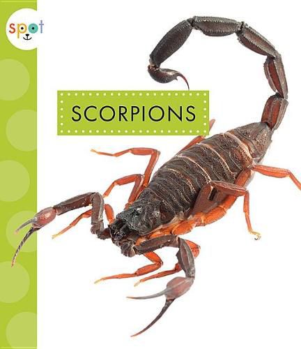 Cover image for Scorpions