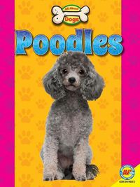 Cover image for Poodles