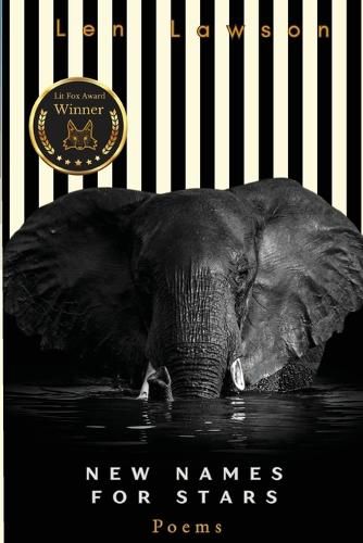 Cover image for New Names for Stars