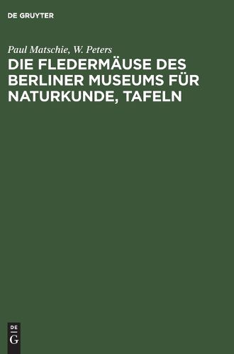 Cover image for Die Fledermaeuse Des Berliner Museums Fuer Naturkunde, Tafeln