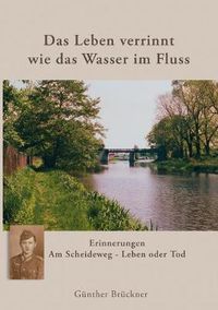 Cover image for Das Leben verrinnt wie das Wasser im Fluss: Am Scheideweg - Leben oder Tod