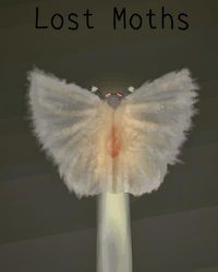 Cover image for Lost Moths