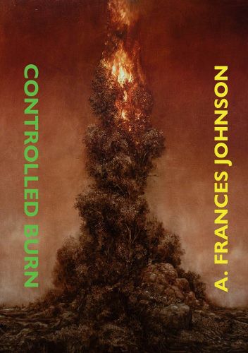 Cover image for Controlled Burn