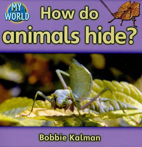 Cover image for How do animals hide?: Animals in My World