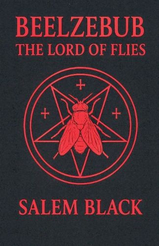 Cover image for Beelzebub The Lord Of Flies