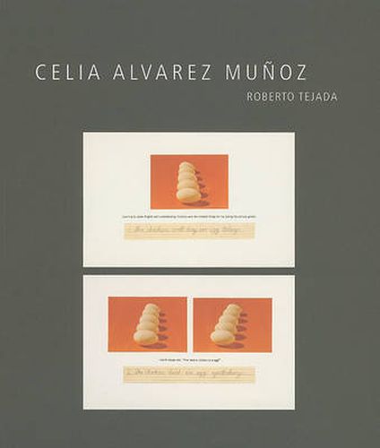 Cover image for Celia Alvarez Munoz