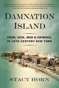 Cover image for Damnation Island: Poor, Sick, Mad, and Criminal in 19th-Century New York