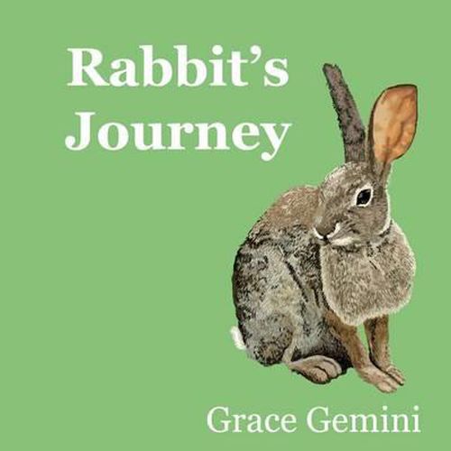 Cover image for Rabbit's Journey