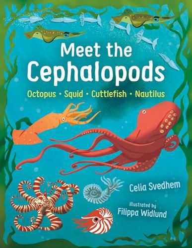 Cover image for Meet the Cephalopods