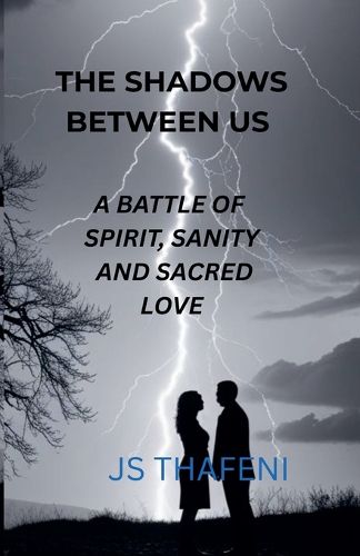 Cover image for The Shadows Between Us