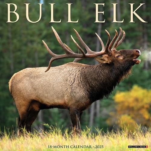 Cover image for Bull Elk 2026 12 X 12 Wall Calendar