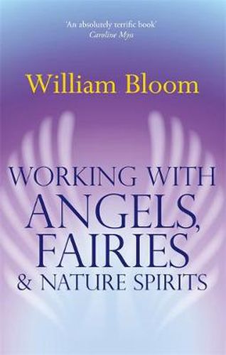 Cover image for Working With Angels, Fairies And Nature Spirits