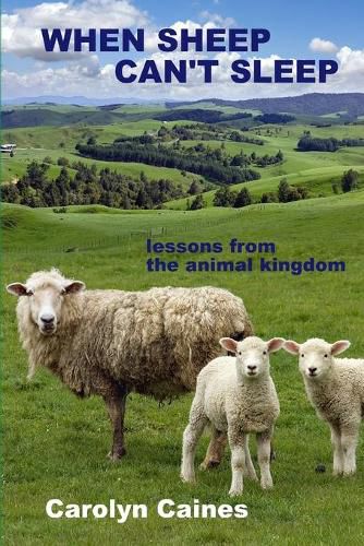 Cover image for When Sheep Can't Sleep: Lessons from the Animal Kingdom